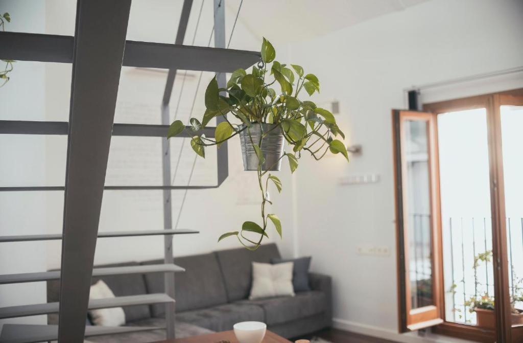 Trigo Homes Κόρδοβα Εξωτερικό φωτογραφία